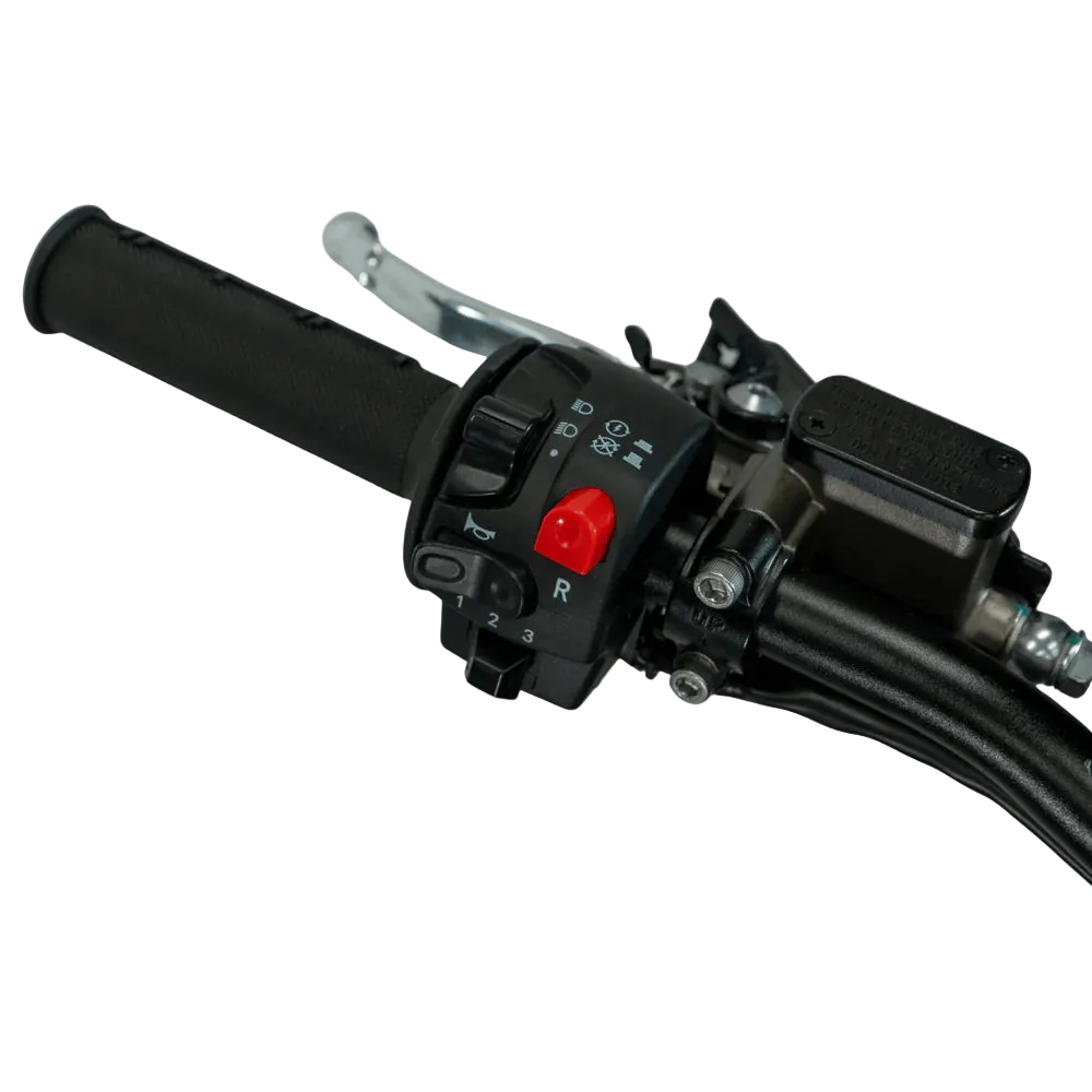 Arctic Leopard XE PRO R